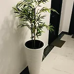 Apartament Anias Front View Of The Black Sea 48b *