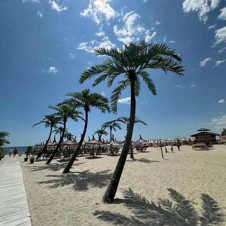 Anias Front View Of The Black Sea 48b * 那沃达利