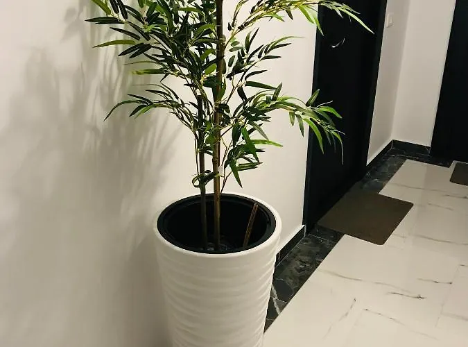 公寓 Anias Front View Of The Black Sea 48b *