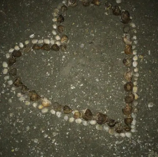 Anias Front View Of The Black Sea 48b 那沃达利