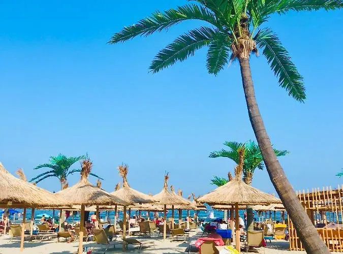 Anias Front View Of The Black Sea 48b * 那沃达利