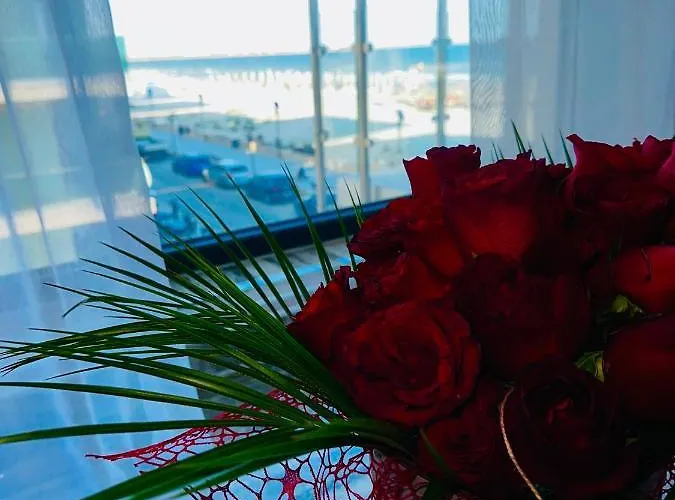 Anias Front View Of The Black Sea 48b 那沃达利